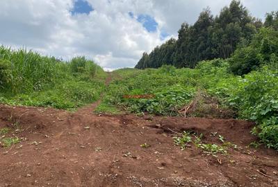0.05 ha Residential Land in Kikuyu Town - 2
