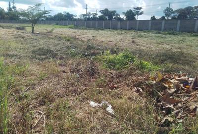 0.5 ac Land in Karen