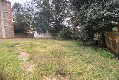 Land in Ngara - 3