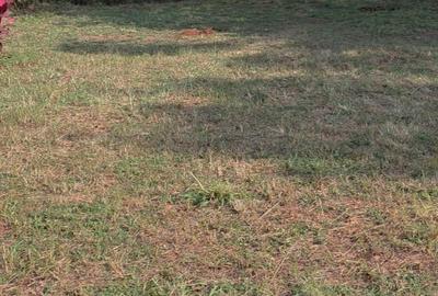 1.2 ac Land at Runda - 3