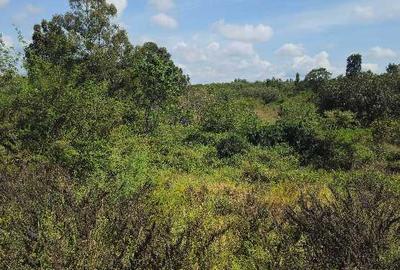 100 ac Land at Kenol Marwa Highway - 2