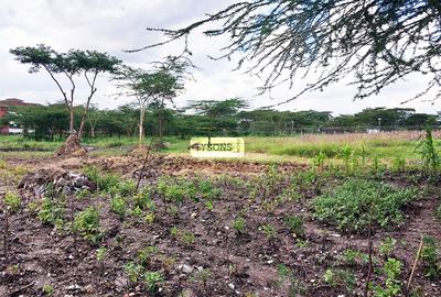 5 ac Commercial Land in South B - 3