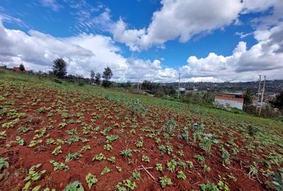 Land at Kibiko - 4