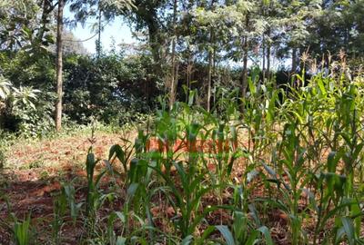 1,000 m² Residential Land in Kikuyu Town - 2