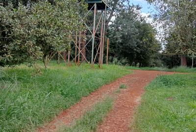 0.125 ac Land at Thika Grove Chania-Opposite Blue Post Hotel - 4