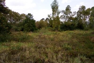 Land at Magadi Rd - 4