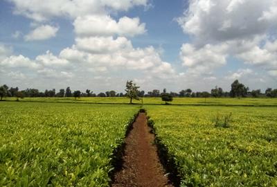 Land at Kiambu Rd - 2