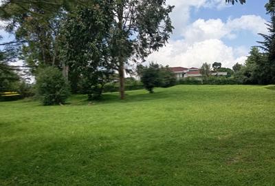 Land in Karen