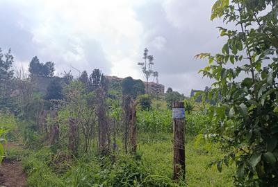 Land in Ruaka - 4