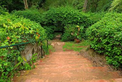 4 Bed Townhouse with Staff Quarters in Muthaiga - 3