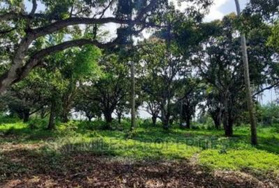 46 ac Land at Greenwood Mtwapa - 4