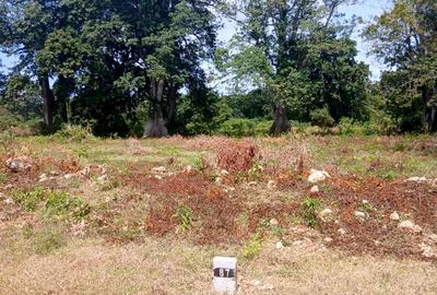 1,000 m² Residential Land at Vipingo - Kuruwitu - 2