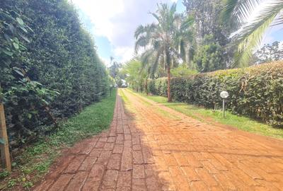 5 Bed House with En Suite at Nyari - 3