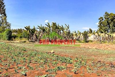 0.1 ha Residential Land at Ondiri - 4