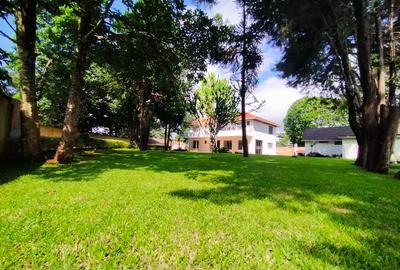 5 Bed House with En Suite in Tigoni - 4