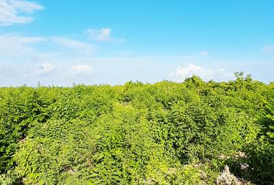 Land at Watamu