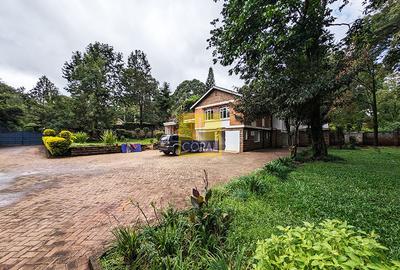 Commercial Property in Kyuna - 3