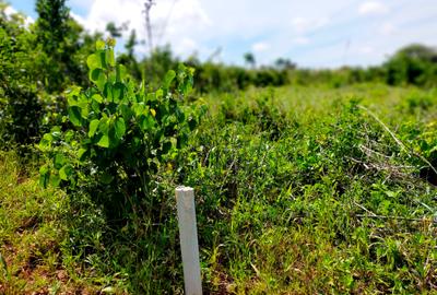 506 m² Land at Mavueni - Mariakani Bypass - 4