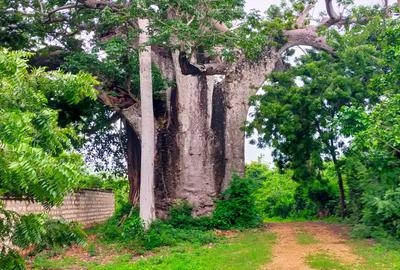 Land at Kuruwitu