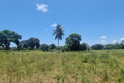 6 ac Land at Mtepeni - 4
