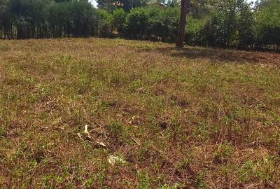 Residential Land in Ruiru - 4