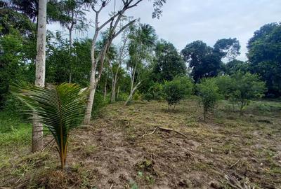 1 ac Land in Kikambala - 2