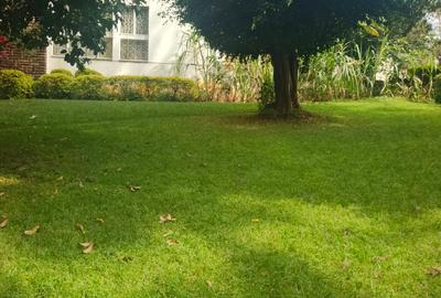 Commercial Land in Riverside - 2