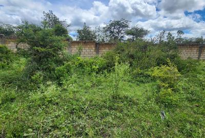 0.09 ha Land at Mashuria - 4