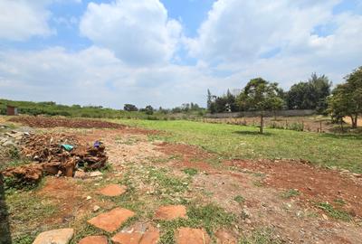 Residential Land at Runda Garden - 4