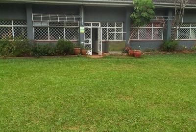Commercial Property with Parking in Lavington - 3