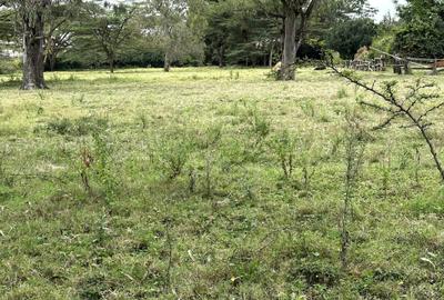 Land in Karen - 3