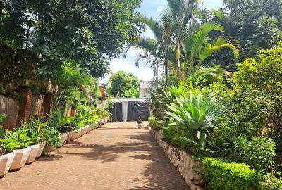 Commercial Property in Lavington - 2