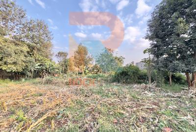 1.25 ac Land at White House Wangige - 2