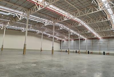 Warehouse in Ruiru - 4