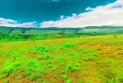 500 m² Residential Land at Ndiuni - 3