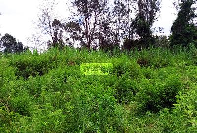 0.64 ac Residential Land in Thindigua - 2