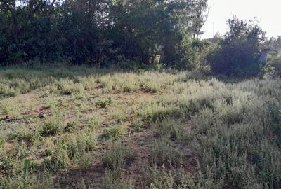 Land at Mayor Road - 2
