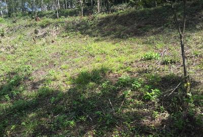 0.25 ac Residential Land in Ngong - 2