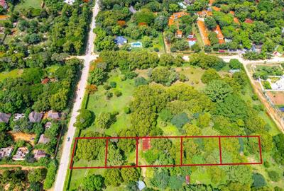 0.25 m² Land at Boribo Road - 4