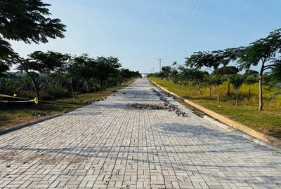 Land at Vipingo - 4