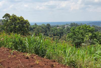 Land at Matasia - 3