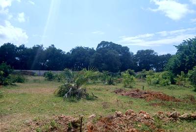 1,000 m² Residential Land at Vipingo - Kuruwitu - 4