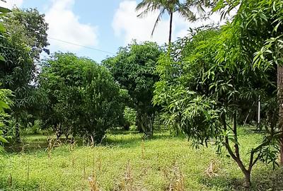 Land at Mtwapa - 4