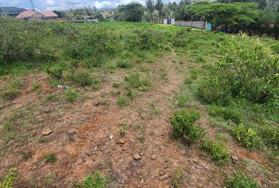 0.2 ha Commercial Land at Merisho Road