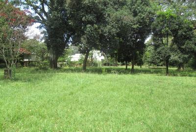 Land at Koitobos Rd - 2