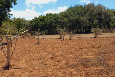 Land at Near Munarani - 3