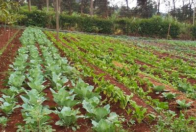 1.5 ac Residential Land in Redhill - 2