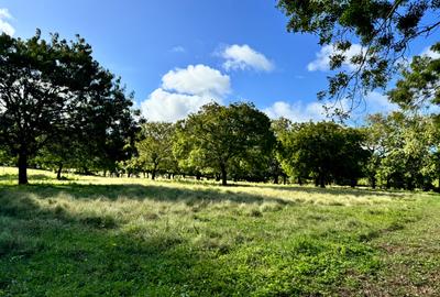 Land in Vipingo - 4