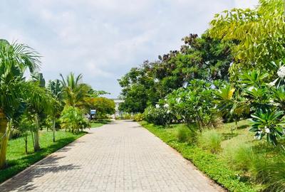 Land at Vipingo - 3