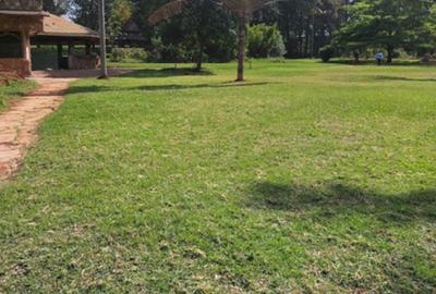 26 ac Land in Karen - 4